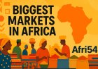 The 10 Biggest Markets in Africa: A Hub of Trade, Culture, and Daily Life