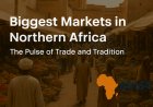 10 Biggest Markets in Northern Africa