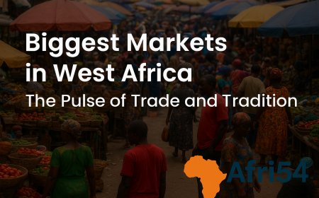 Biggest Markets in West Africa: The Pulse of Trade and Tradition