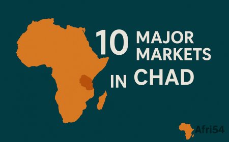 10 Major Markets in Chad