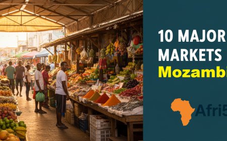 10 Major Markets in Mozambique
