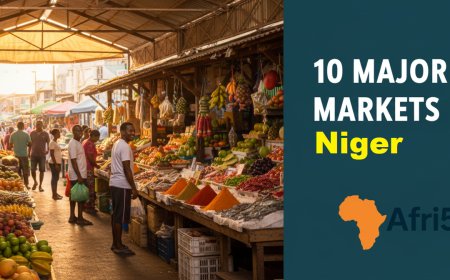 10 Major Markets in Niger