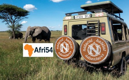 Ultimate Eastern Africa Travel Guide: Explore Kenya, Tanzania, Rwanda, Uganda & Ethiopia