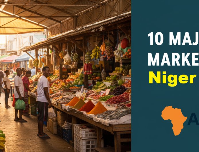 10 Major Markets in Niger
