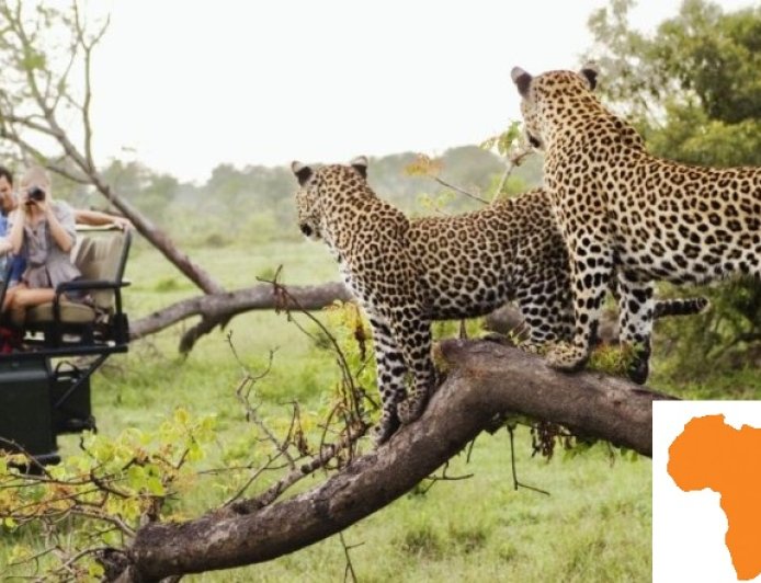 Ghana Travel Guide: Castles, Canopy Walks & Culture