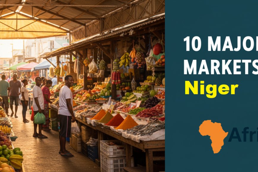 10 Major Markets in Niger