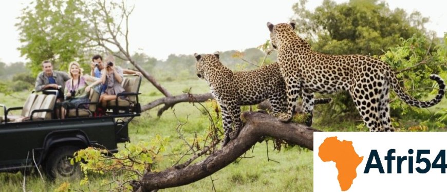 Ghana Travel Guide: Castles, Canopy Walks & Culture