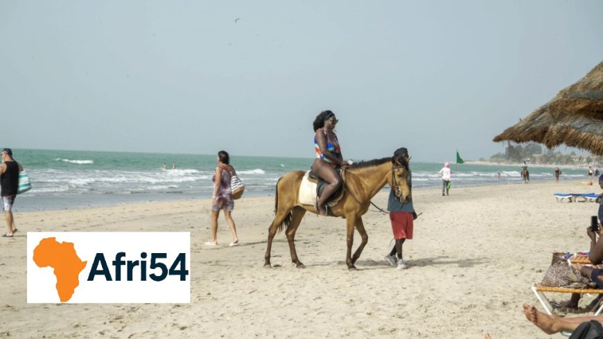Travel Guide to The Gambia: West Africa’s Smiling Coast