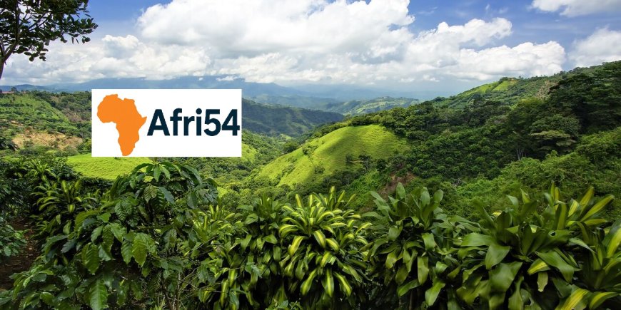 Travel Guide to Liberia: Land of Freedom and Natural Beauty
