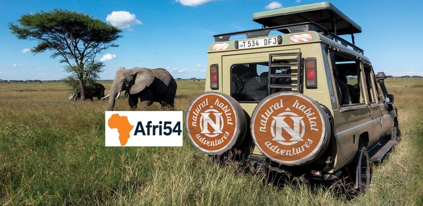 Ultimate Eastern Africa Travel Guide: Explore Kenya, Tanzania, Rwanda, Uganda & Ethiopia