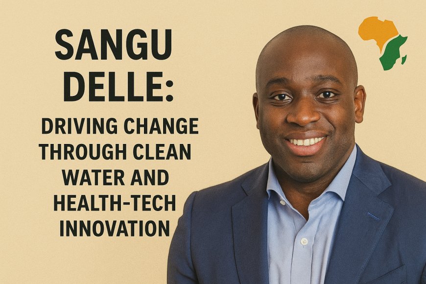 Sangu Delle: Driving Change Through Clean Water and Health-Tech Innovation
