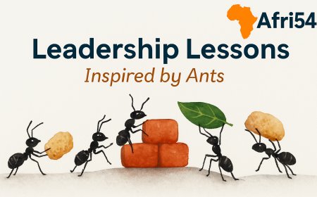 Leadership Lessons from Ants: What These Tiny Creatures Teach Us About Success
