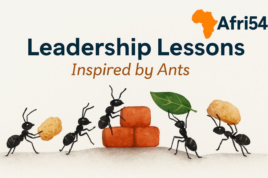 Leadership Lessons from Ants: What These Tiny Creatures Teach Us About Success